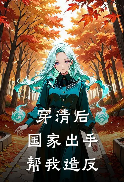 穿清后，国家出手帮我造反